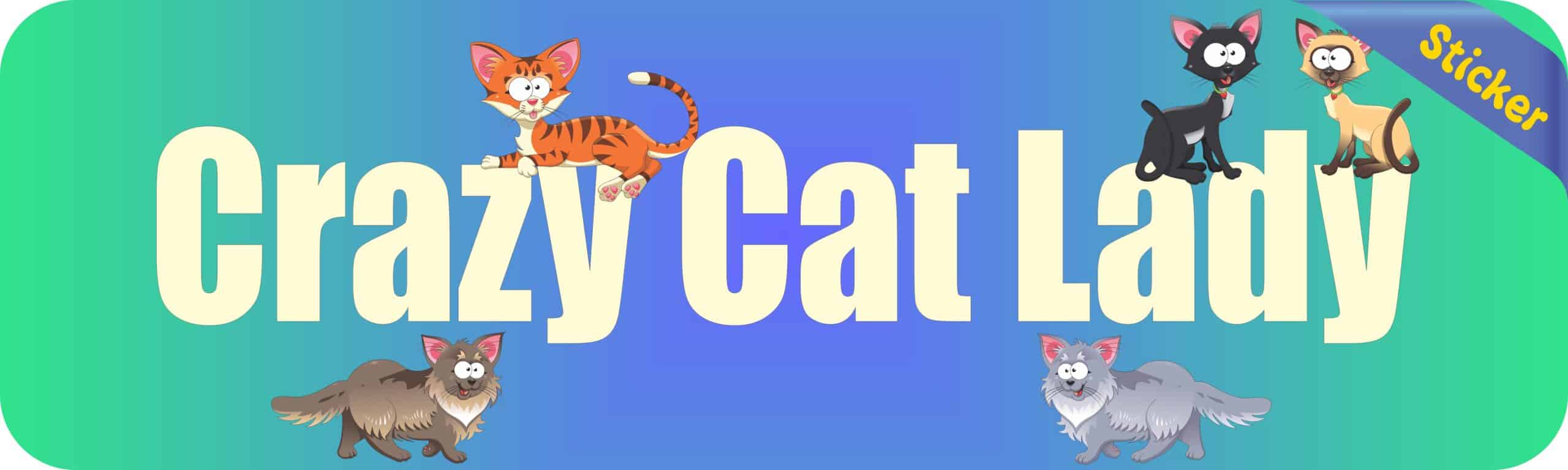 10in x 3in Crazy Cat Lady Vinyl Bumper Sticker Decal Window sticky stickers Decals