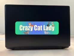 10in x 3in Crazy Cat Lady Vinyl Bumper Sticker Decal Window sticky stickers Decals