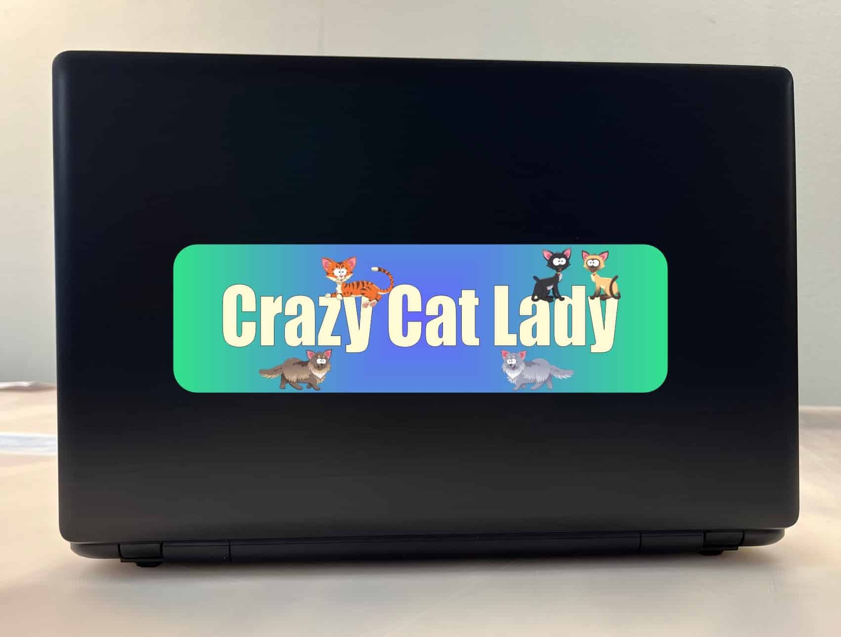 10in x 3in Crazy Cat Lady Vinyl Bumper Sticker Decal Window sticky stickers Decals