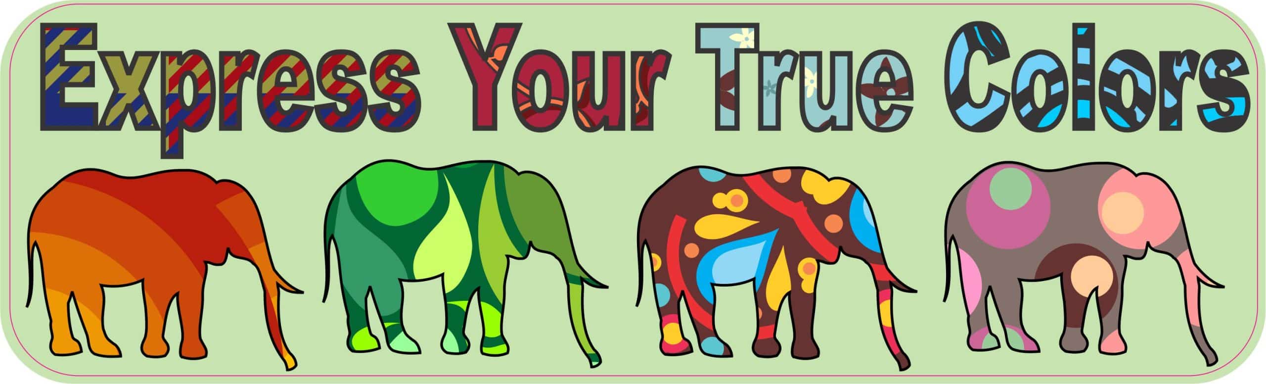 10in x 3in Express True Colors Bumper Sticker Elephant Decal Window Stickers Decals
