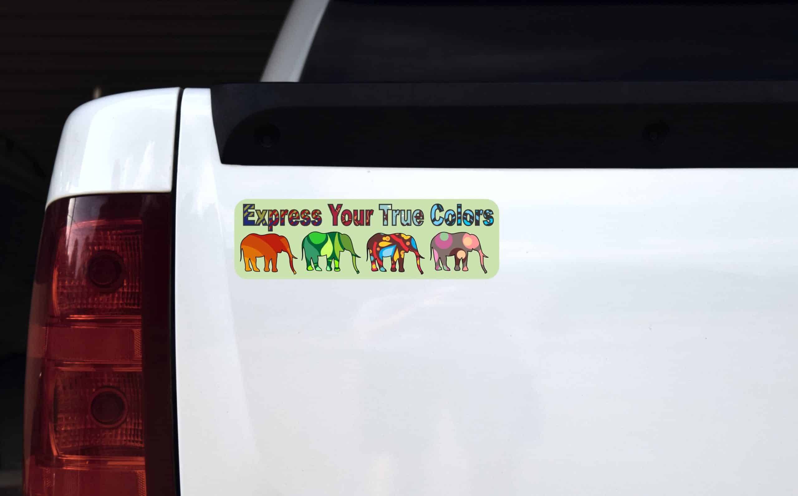 10in x 3in Express True Colors Bumper Sticker Elephant Decal Window Stickers Decals - Image 4