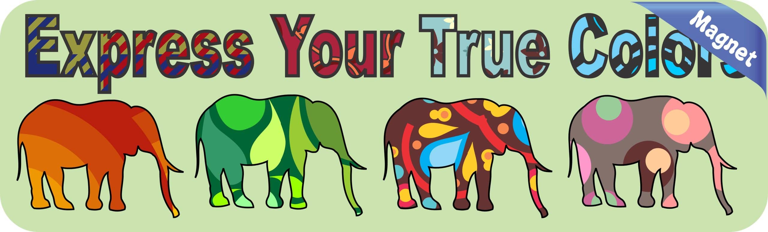 10in x 3in Express True Colors Bumper magnet Elephant magnetic - Image 2