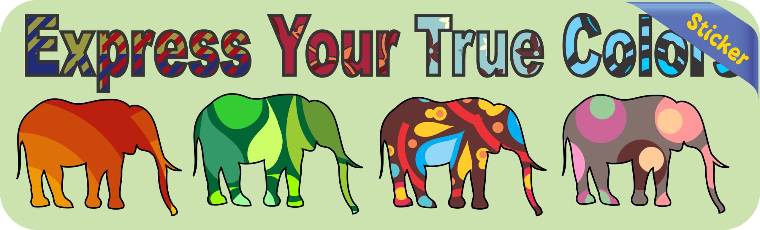 10in x 3in Express True Colors Bumper Sticker Elephant Decal Window Stickers Decals - Image 2