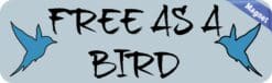 10in x 3in Free as a Bird magnet bumper Vinyl Car magnets magne