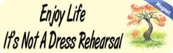 10in x 3in Enjoy Life Its Not a Dress Rehearsal Bumper magnet  magnets