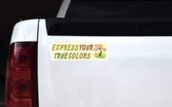 10in x 3in Express Your True Colors Bumper magnet magnetic magn