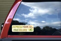 10 inx 3in Express Your True Colors Bumper Sticker Decal Window