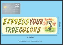 10in x 3in Express Your True Colors Bumper magnet magnetic magn