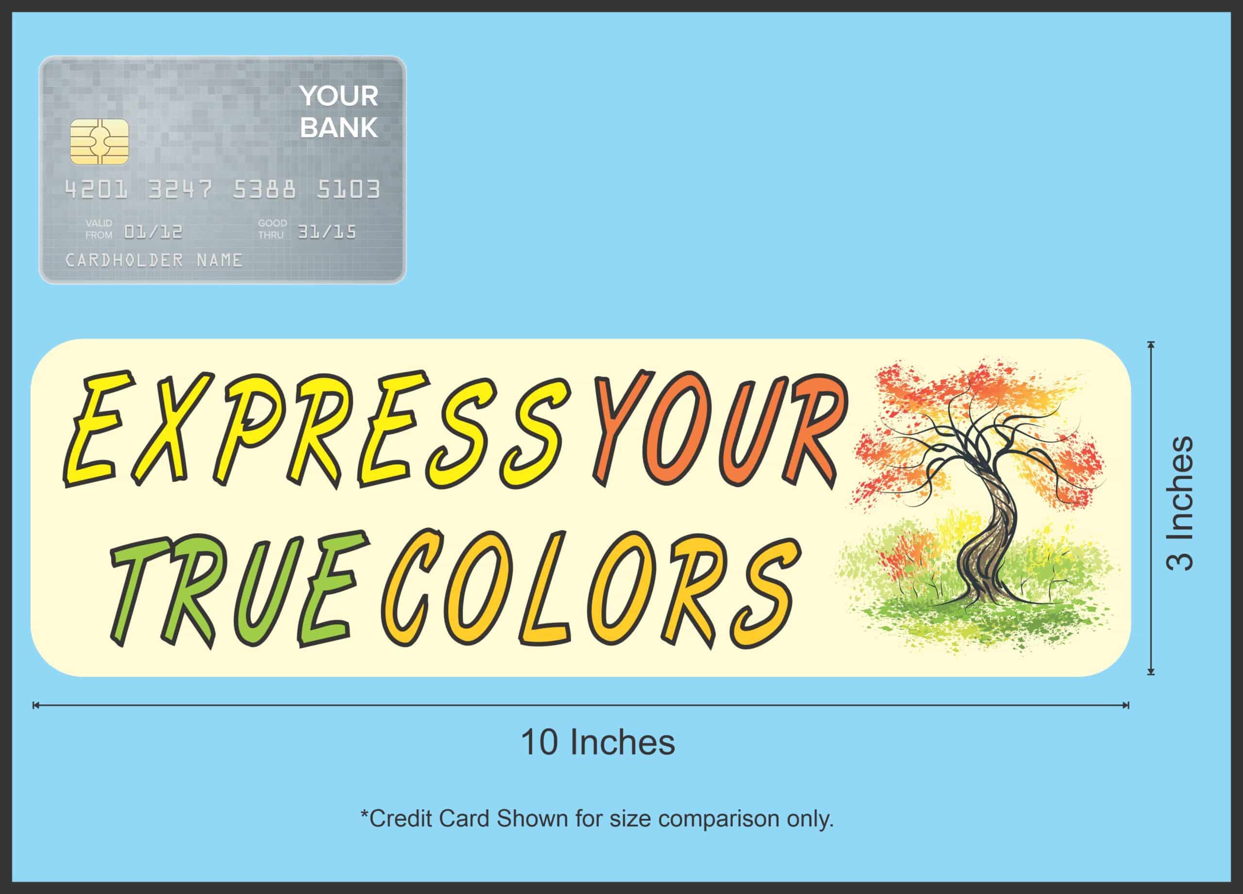 10 inx 3in Express Your True Colors Bumper Sticker Decal Window