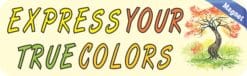 10in x 3in Express Your True Colors Bumper magnet magnetic magn