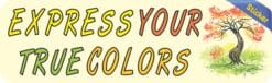 10 inx 3in Express Your True Colors Bumper Sticker Decal Window