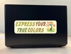 10 inx 3in Express Your True Colors Bumper Sticker Decal Window