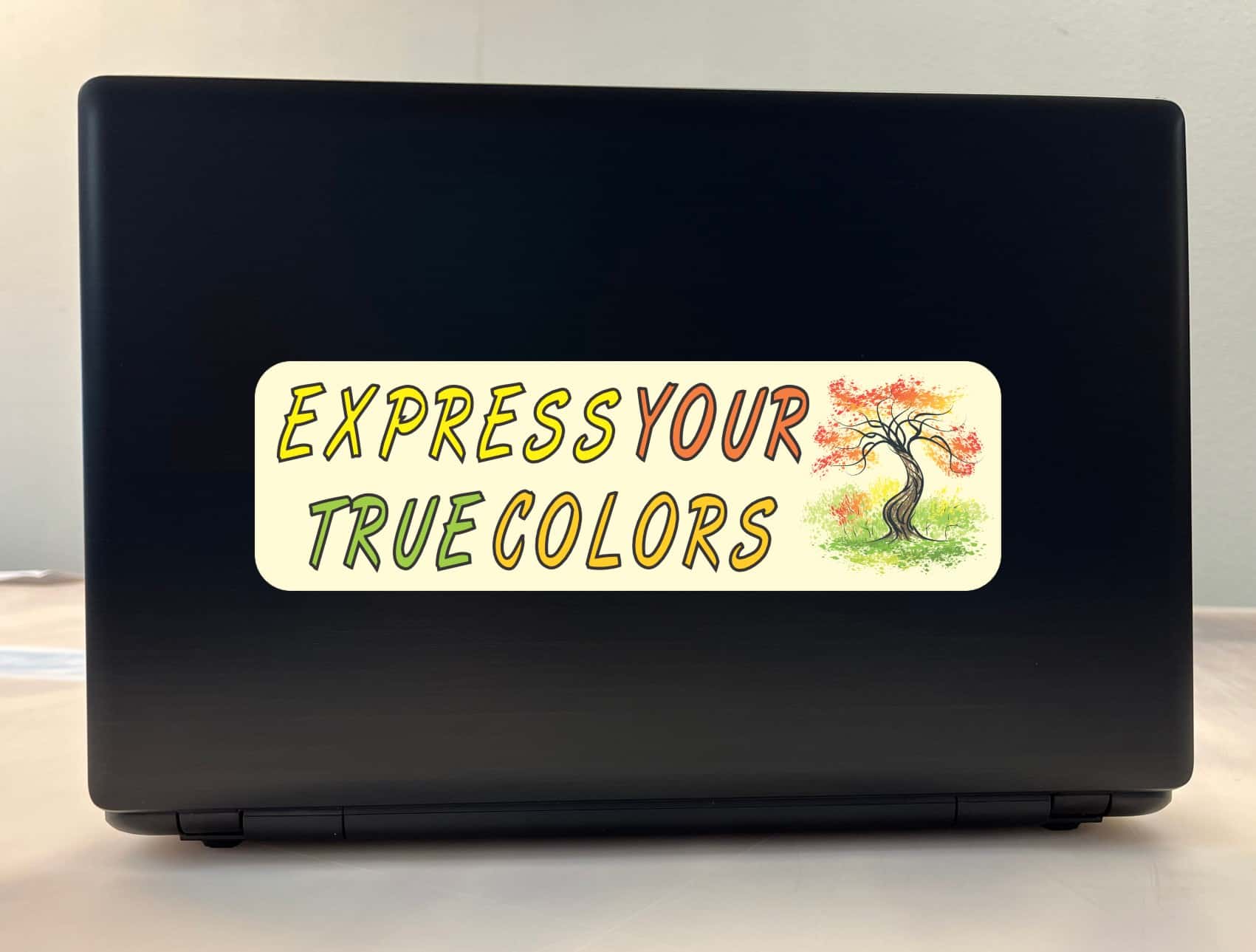 10 inx 3in Express Your True Colors Bumper Sticker Decal Window