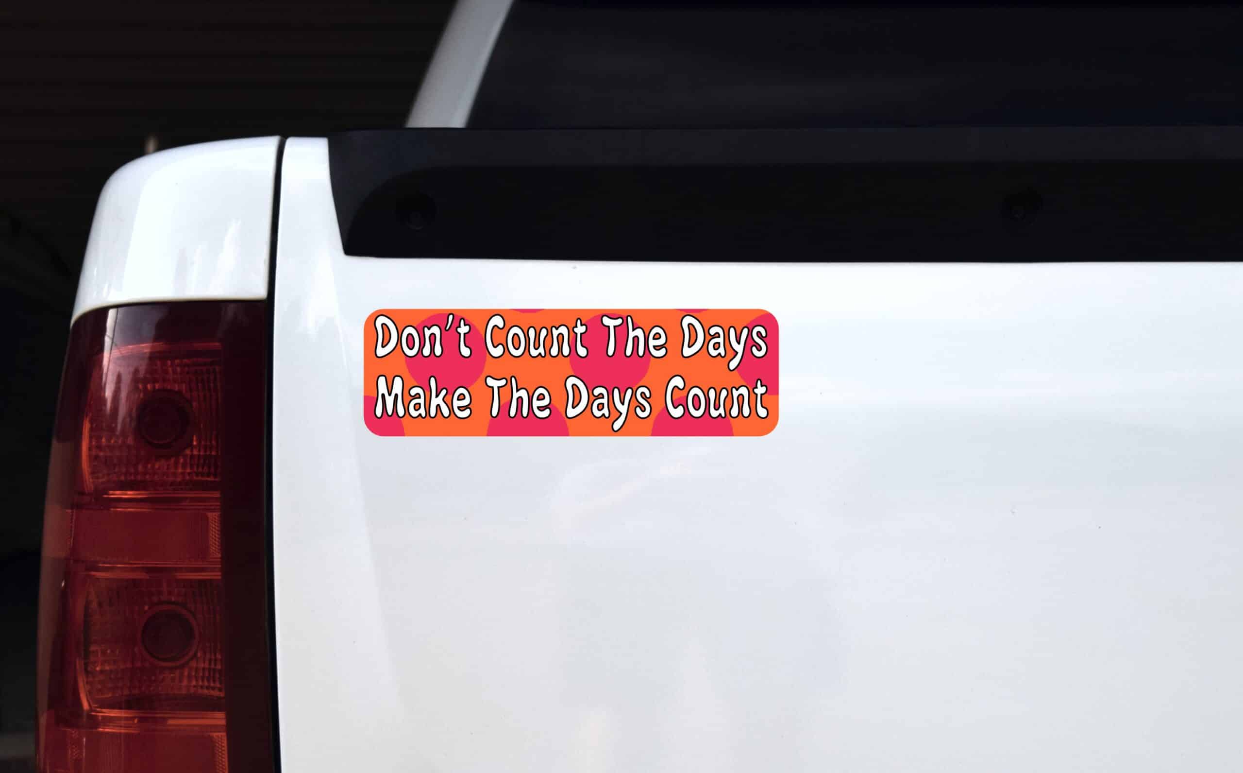 10in x 3in Dont Count The Days Make Bumper magnet magnetic magnets