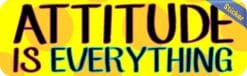10inx 3in Attitude Is Everything Vinyl Bumper Sticker Decals Window Stickers Decal