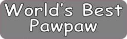 StickerTalk Worlds Best Pawpaw Vinyl Sticker, 10 inches x 3 inch