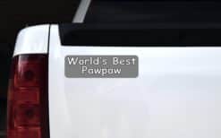 StickerTalk Worlds Best Pawpaw Magnet, 10 inches x 3 inches
