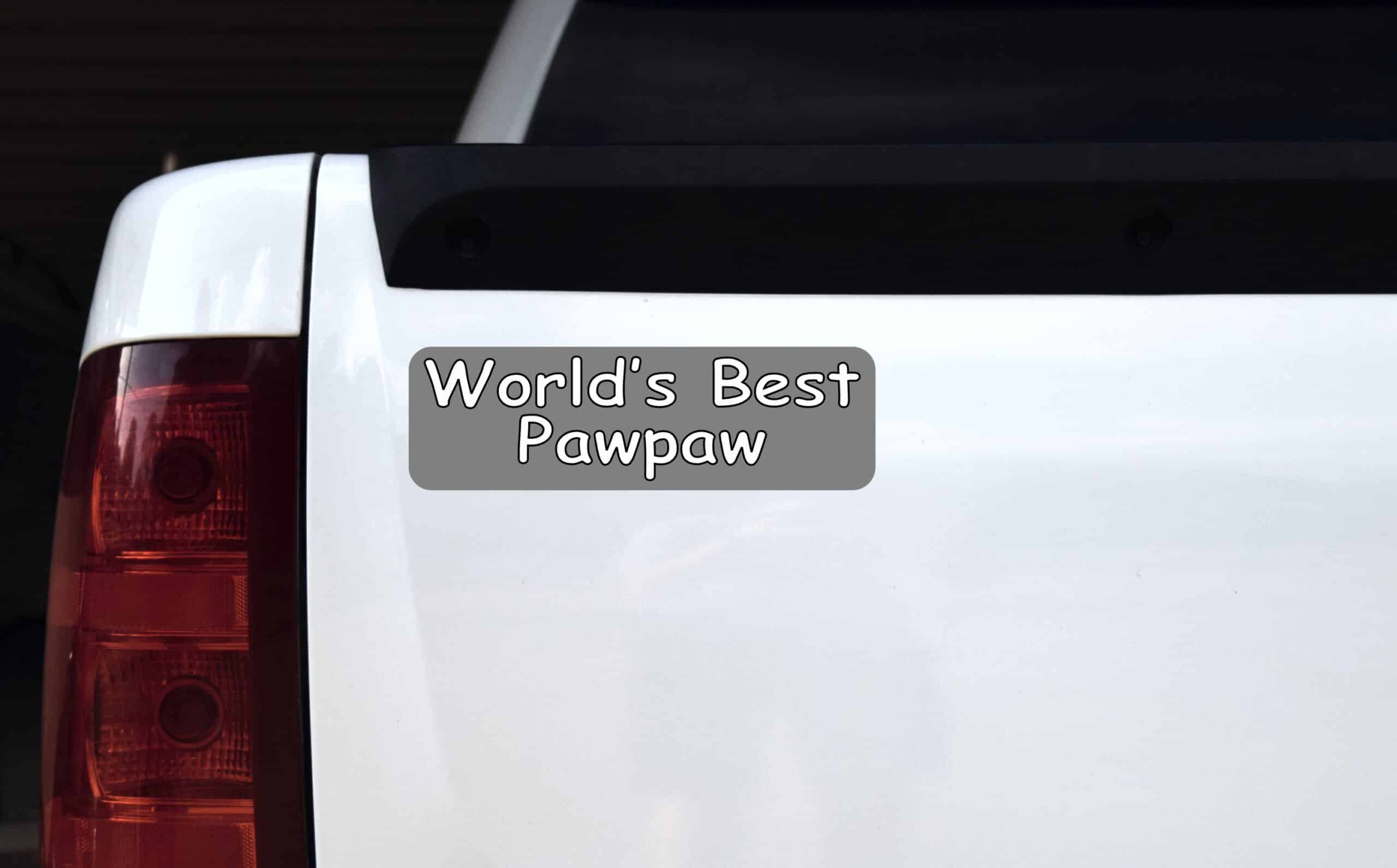 StickerTalk Worlds Best Pawpaw Magnet, 10 inches x 3 inches