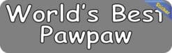 StickerTalk Worlds Best Pawpaw Vinyl Sticker, 10 inches x 3 inch