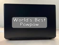 StickerTalk Worlds Best Pawpaw Vinyl Sticker, 10 inches x 3 inch