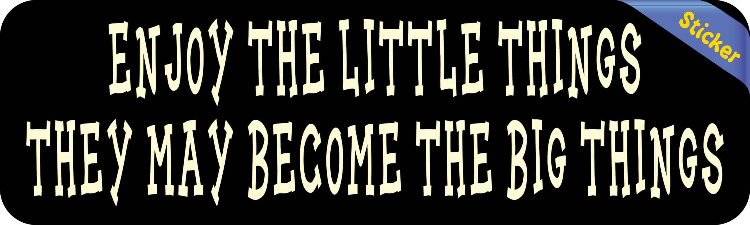 10in x 3in Enjoy the Little Things Vinyl Sticker - Image 2