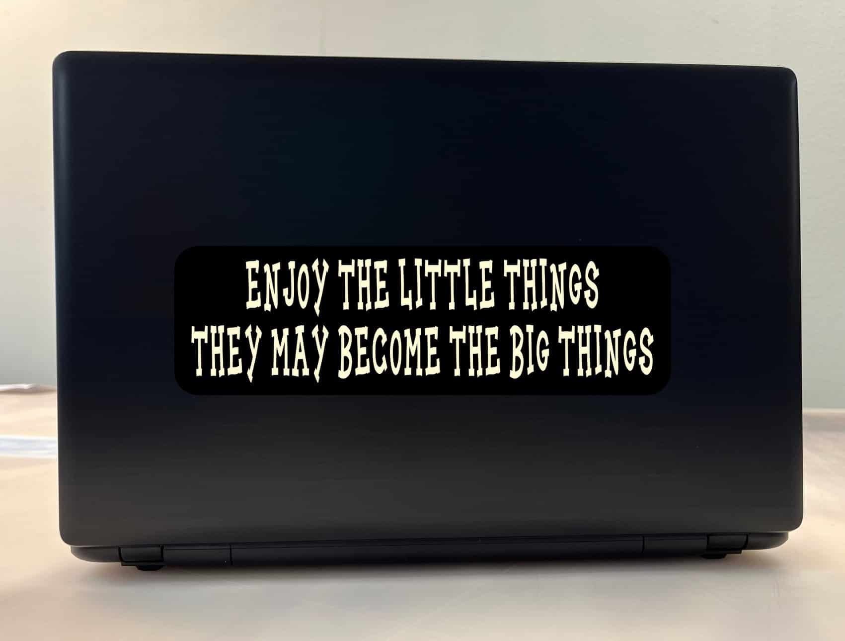 10in x 3in Enjoy the Little Things Vinyl Sticker - Image 3