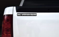 Adult Supervision Required Magnet