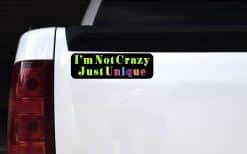 10in x 3in I''m Not Crazy Just Unique Vinyl Bumper magnet magnetic magnets '