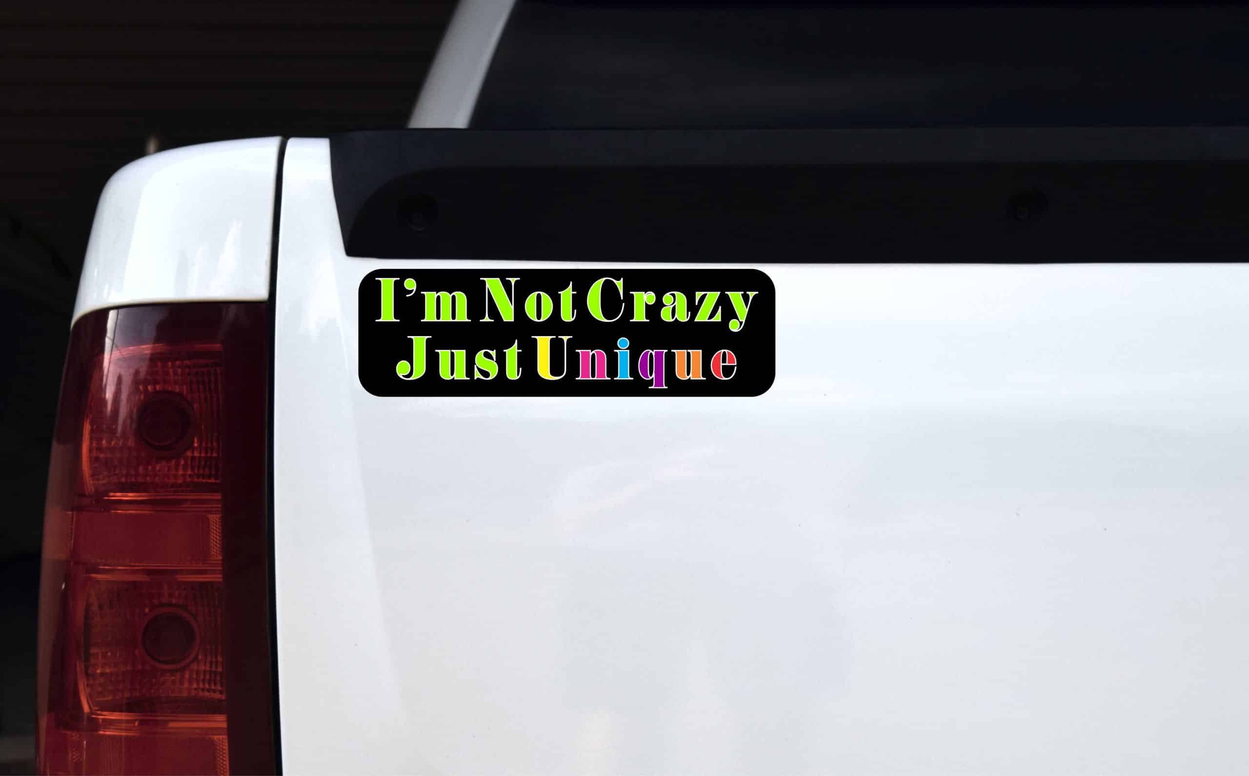 10in x 3in I''m Not Crazy Just Unique Vinyl Bumper magnet magnetic magnets '