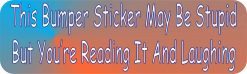Stupid Sticker But Youre Laughing Magnet