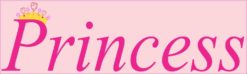 10in x 3in Pink Princess Bumper Sticker Vinyl Car Decal Window S