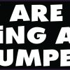 Why Are You Staring at My Bumper Vinyl Sticker