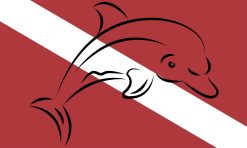 5in x 3in Dolphin Diver Down Flag Magnet