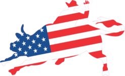 bull rider sticker