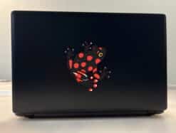 4.5inx4in Black Red Poison Dart Frog Bumper Sticker Decal Window Stickers Decals