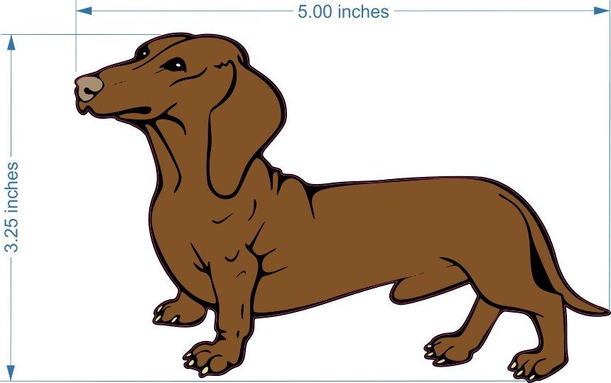 5 inches wide by 3.25 inches tall Dachshund