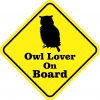 Owl Lover On Board Sticker