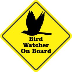 5in x 5in Bird Watcher On Board Magnet