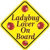 Ladybug Lover On Board Sticker