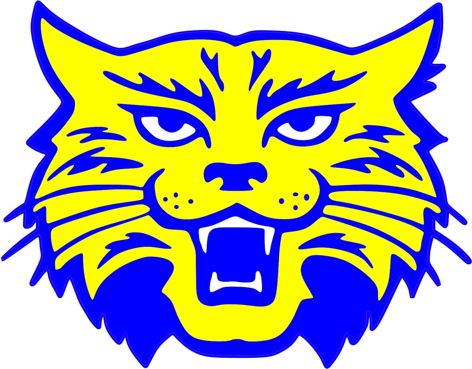 blue and yellow wildcat