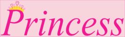 Princess on Board Magnet