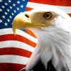 US Flag With Eagle Vinyl Sticker
