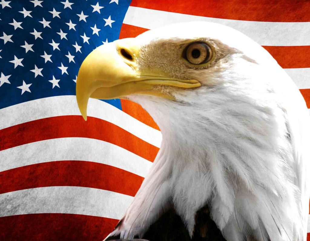 US Flag With Eagle Vinyl Sticker