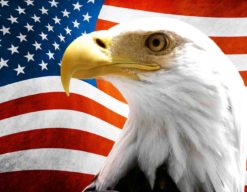 US Flag With Eagle Vinyl Sticker