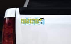 10in x 3in Parachuter Bumper magnet  Skydiving magnetic  magnets