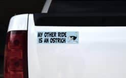 10in x 3in My Other Ride Is An Ostrich Bumper Sticker Vinyl Window Decal