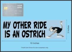 10in x 3in My Other Ride Is An Ostrich Bumper Sticker Vinyl Window Decal