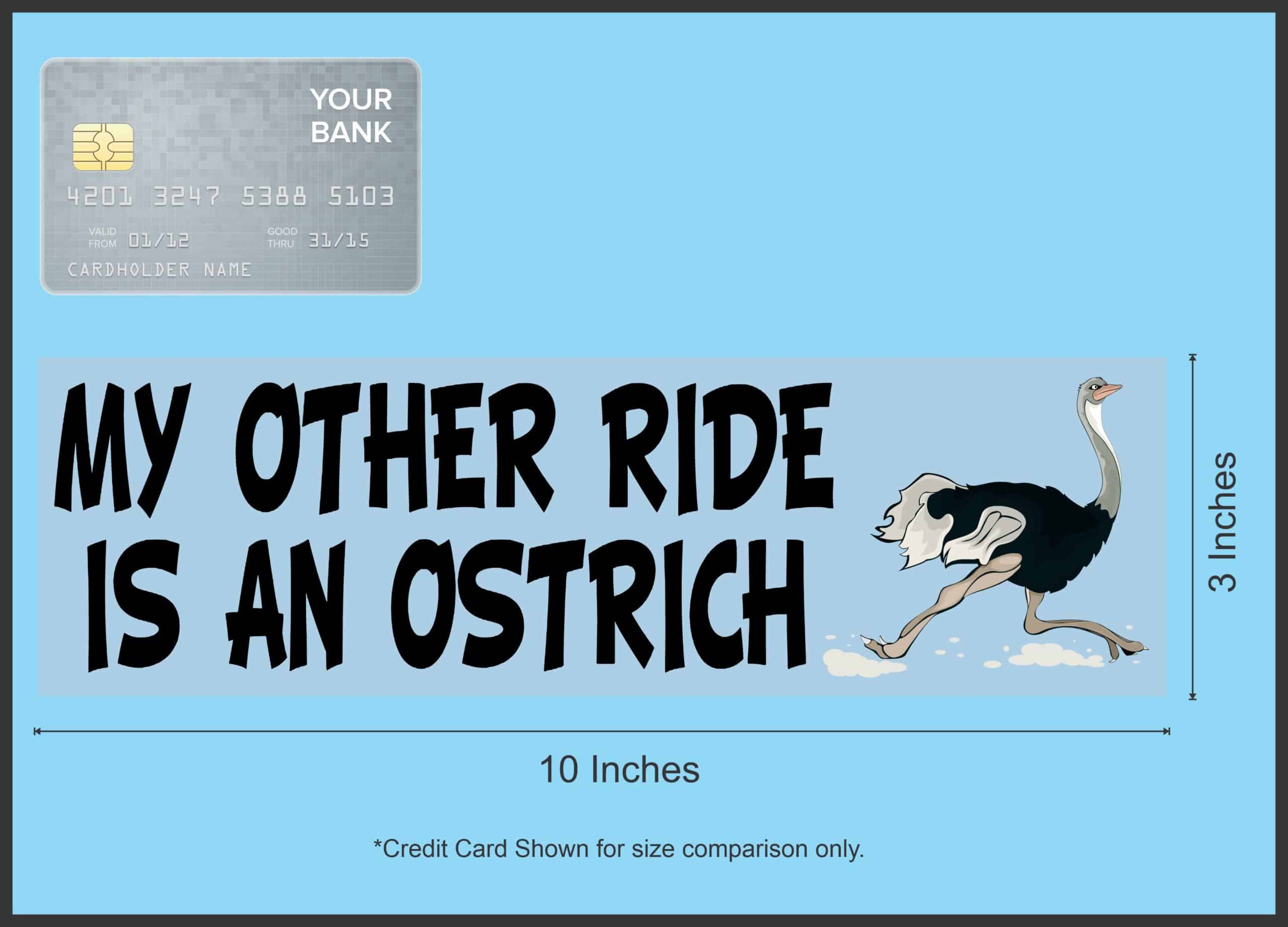 10in x 3in My Other Ride Is An Ostrich Bumper Sticker Vinyl Window Decal