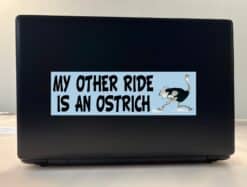 10in x 3in My Other Ride Is An Ostrich Bumper Sticker Vinyl Window Decal