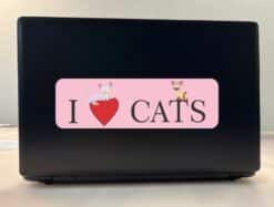 10in x 3in I Love Cats Bumper Sticker Cats Car Window Stickers Decal Vinyl Decals